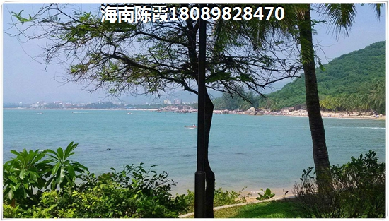 万宁市日月湾属于哪个区