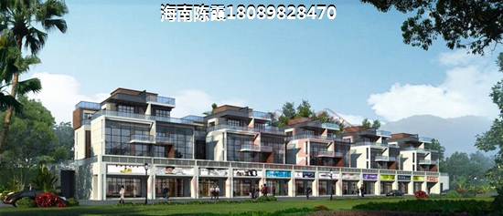 候鸟去海南过冬哪个城市好