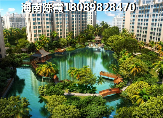 万宁神州半岛新房和二手房那个纸得买呢