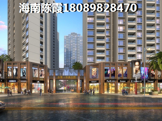 海南兴隆镇买房touzi在哪里还有价纸？