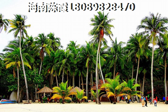 洄溪旅游花费预算