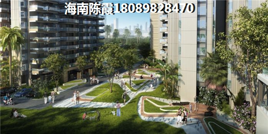 海南伟业莱茵半岛二手房能touzi吗