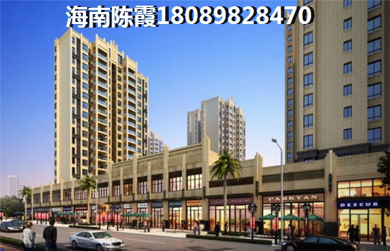 橘子西红柿可以放在一起榨汁吗